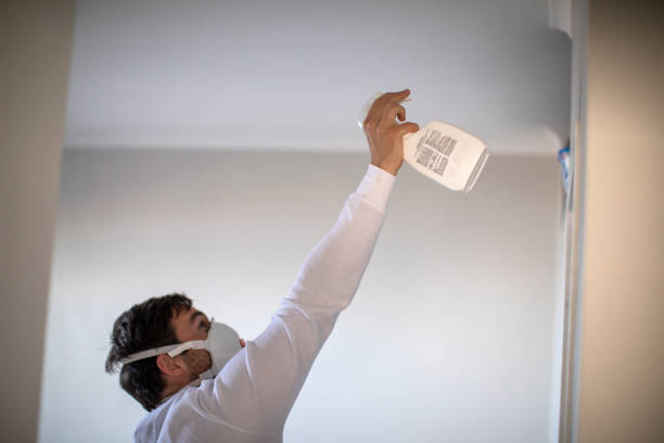 Best Water Damage Restoration  in Cloverport, KY