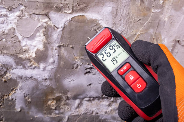 Best Water Damage Restoration  in Cloverport, KY